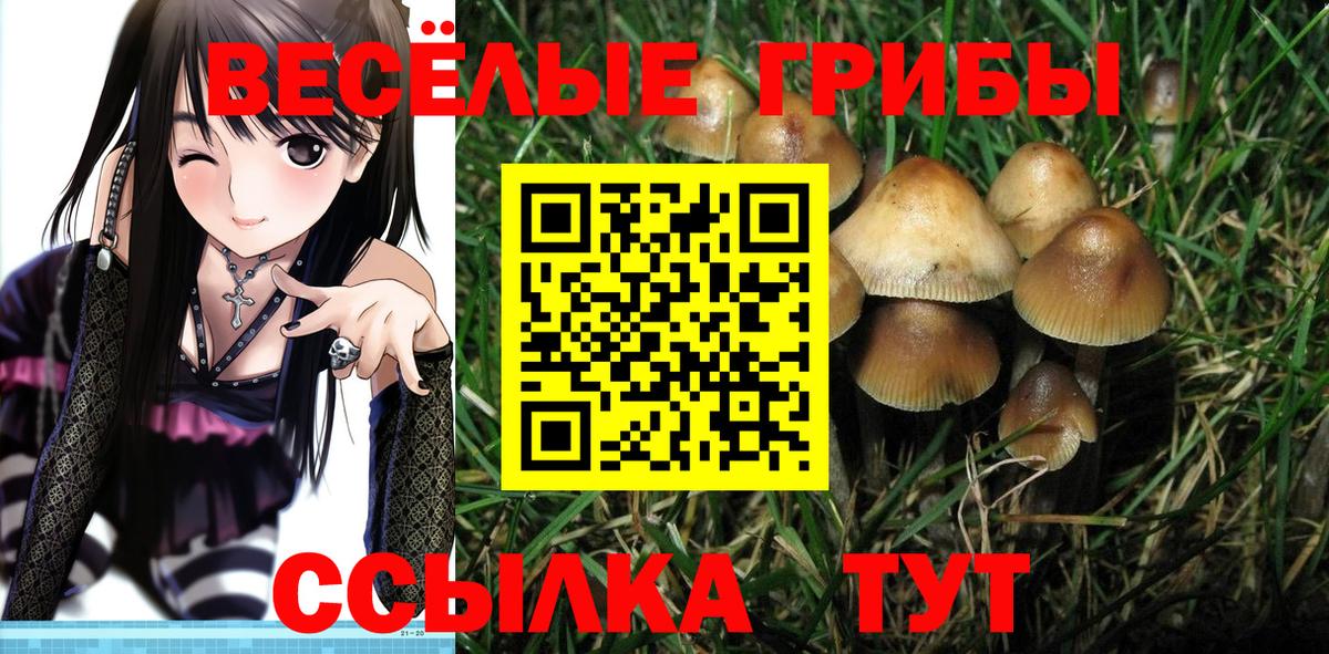 Галлюциногенные грибы прущие грибы  Вход с VPN  Псилоцибиновые грибы GOLDEN TEACHER  хочу наркоту  Менделеевск 