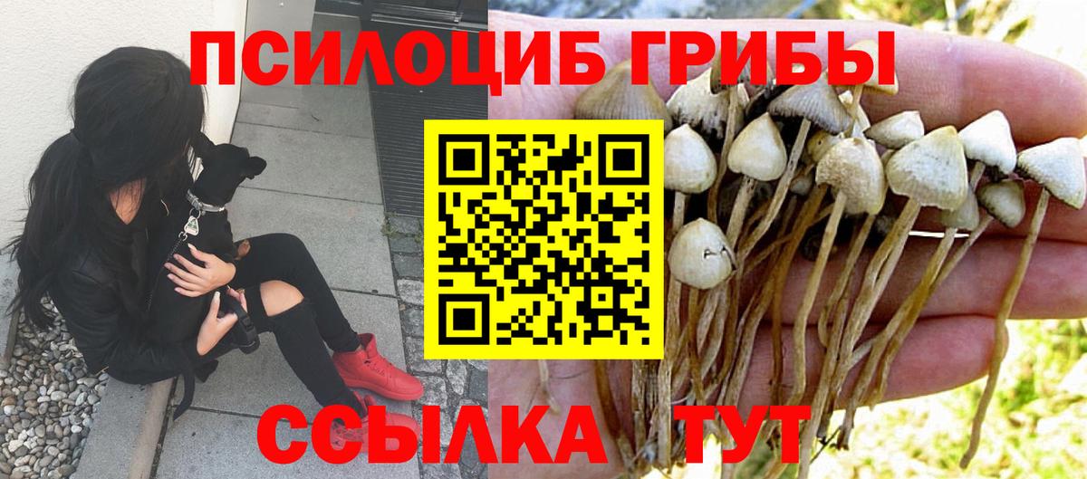 Псилоцибиновые грибы MAGIC MUSHROOMS Менделеевск
